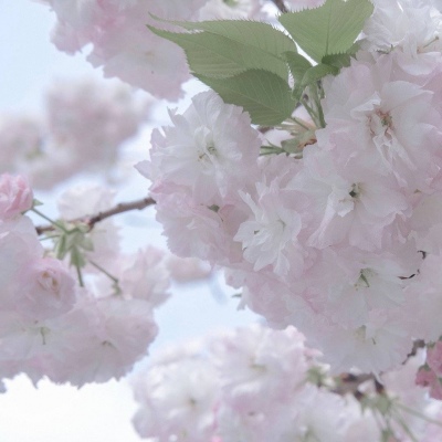 山城FurryQQ群介绍